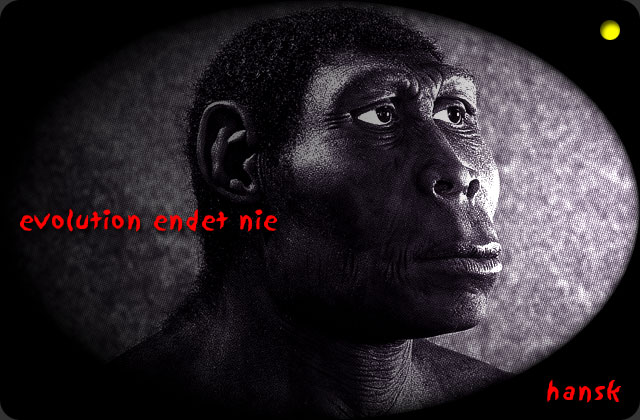 Wortbild Evolution