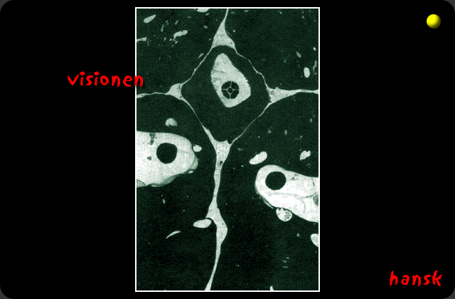 Laufbild Visionen